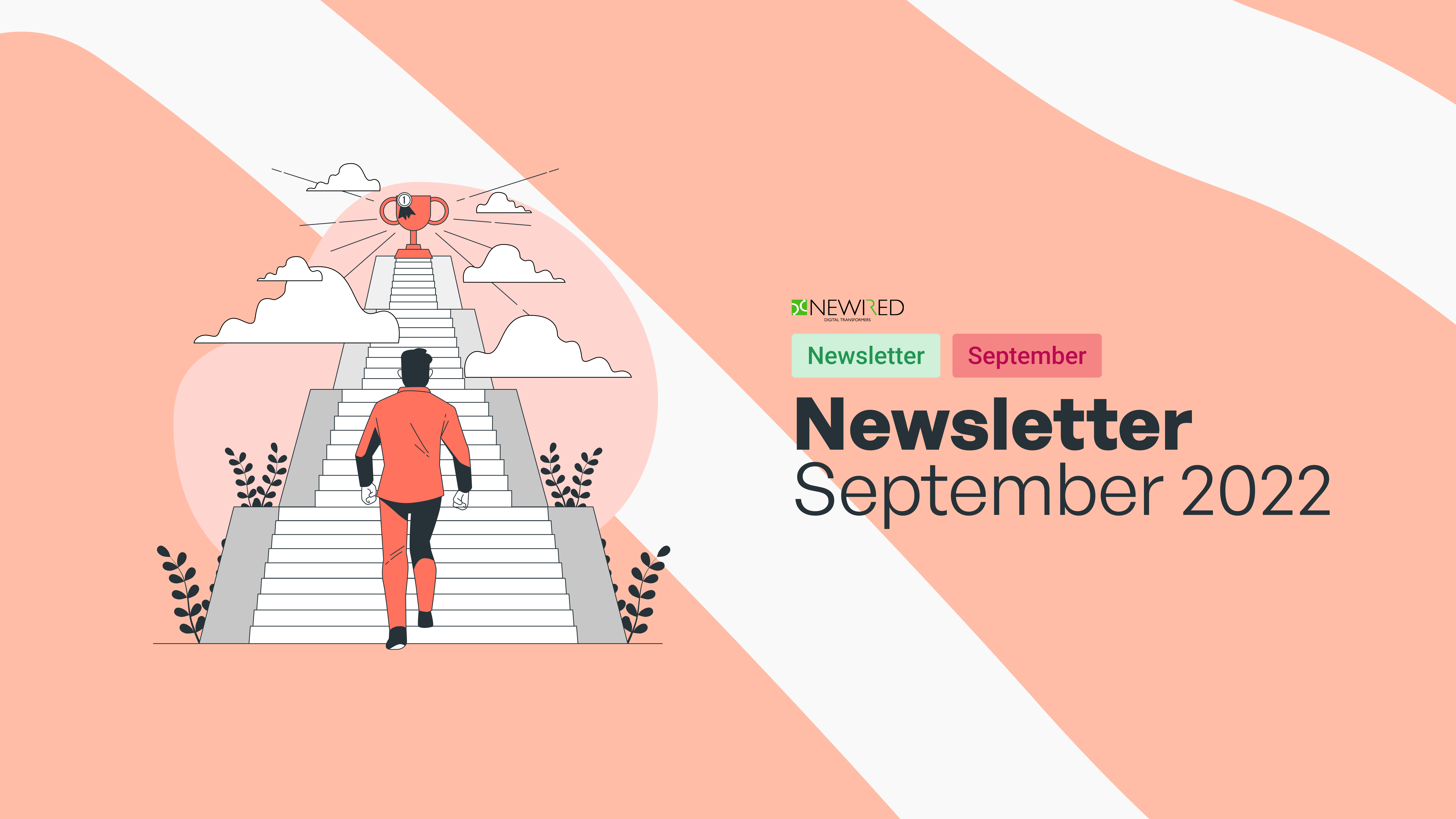 Newsletter September 2022 - Newired